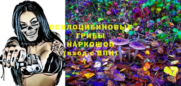 не бодяженный Щёлкино