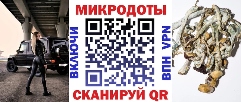 Псилоцибиновые грибы мухоморы  хочу   Нижний Тагил 