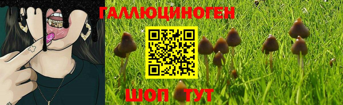 Галлюциногенные грибы ЛСД Нижний Тагил