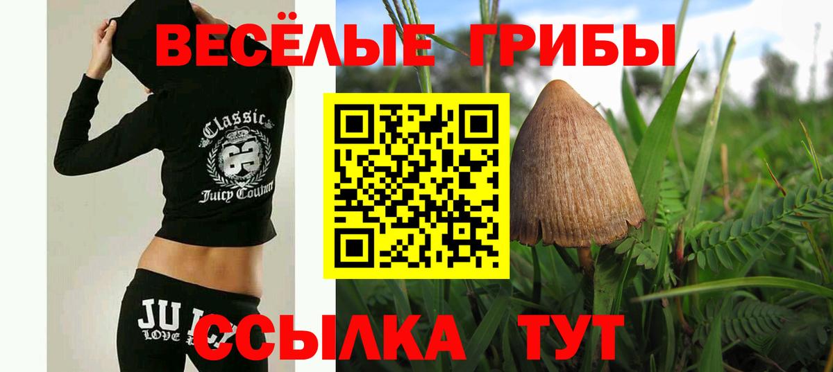 Нижний Тагил  Псилоцибиновые грибы мицелий  Вход с VPN  Галлюциногенные грибы ЛСД 